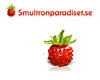 Smultronparadiset